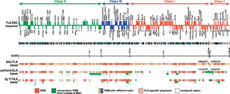 feline genome definition.